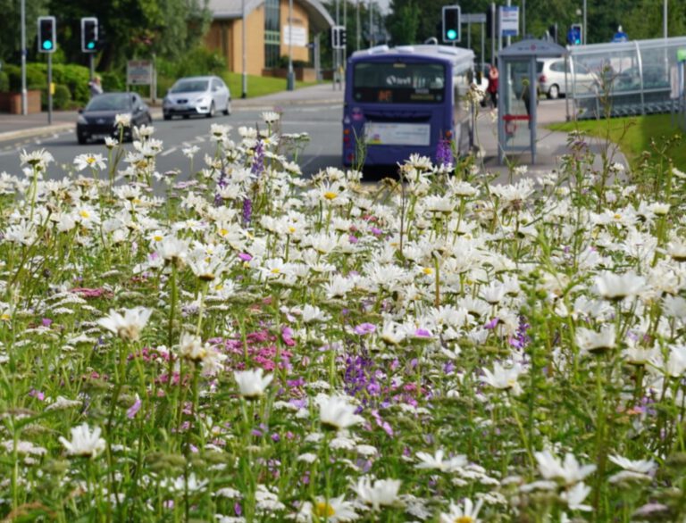 HOV traject gemeente Huizen